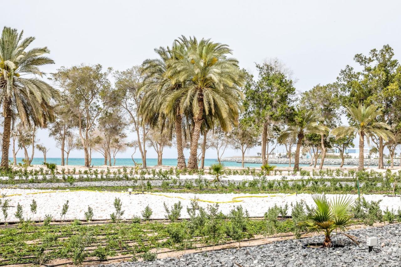 Hotel Dhafra 4*